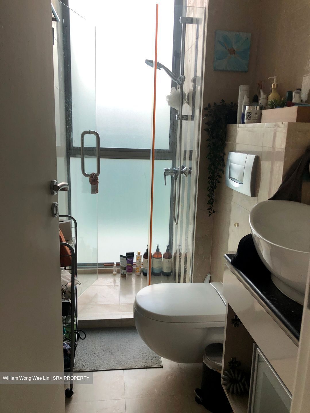 Balmoral Hills (D10), Condominium #500210291